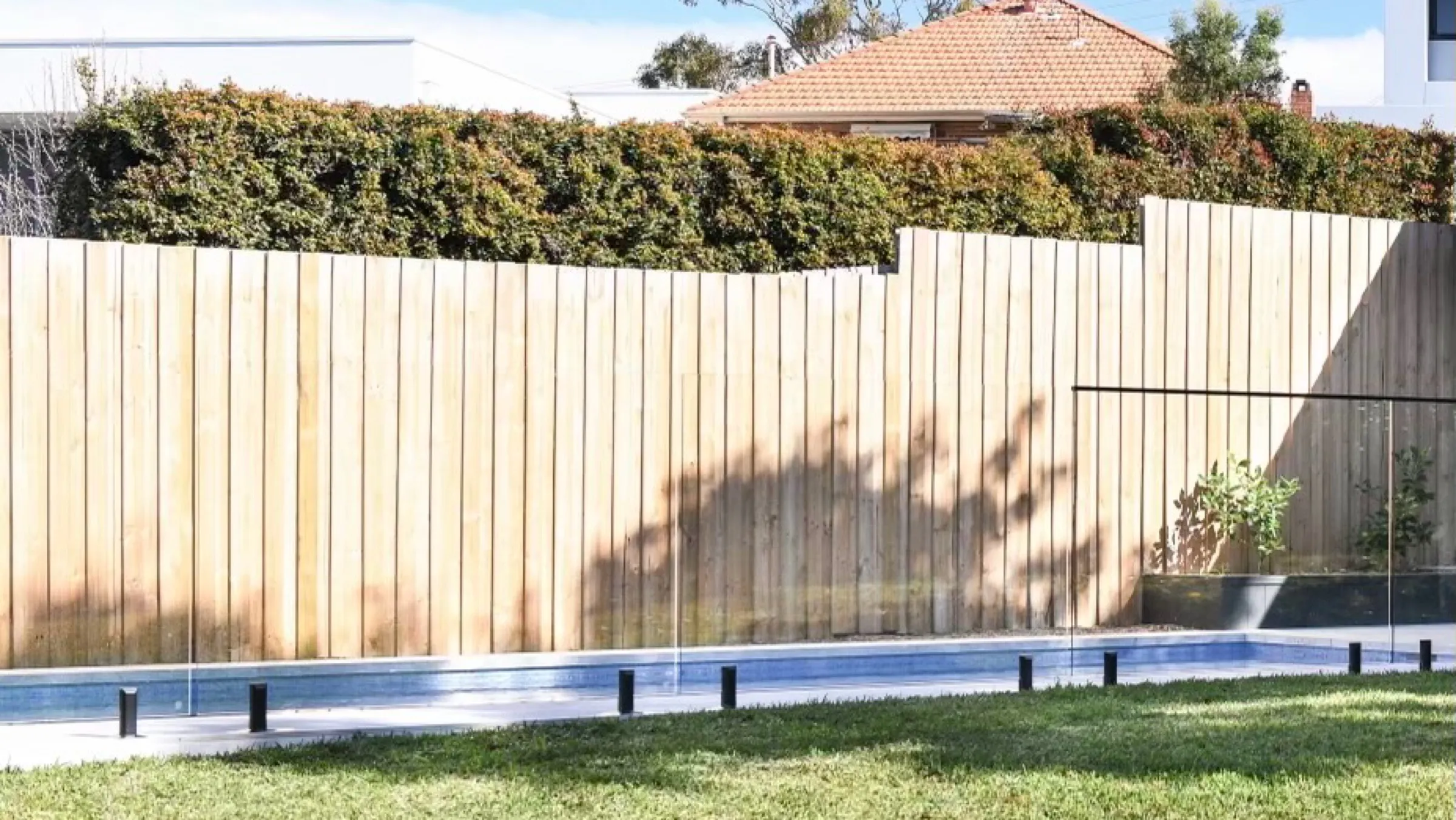 New timber paling fence